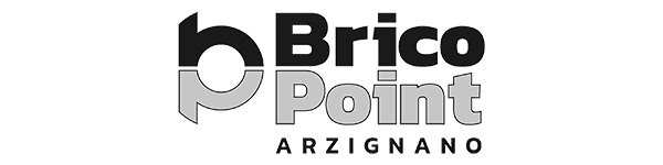 BRICOPOINT_Logo_RGB